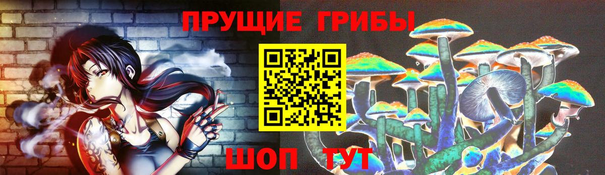 Псилоцибиновые грибы GOLDEN TEACHER  Галлюциногенные грибы мухоморы  Городец  Вход с VPN 
